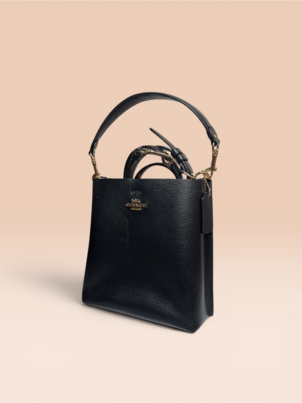 Coach Mollie Bucket Bag 22